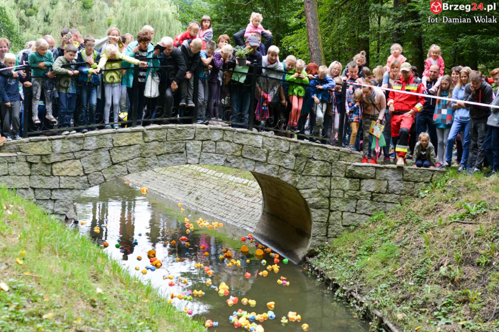 215 kaczek stanęło do wyścigu w Parku Wolności!