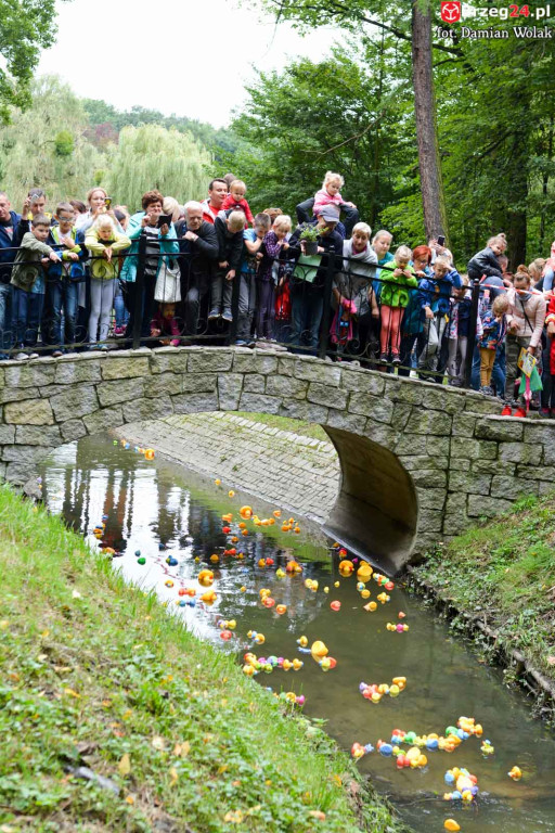 215 kaczek stanęło do wyścigu w Parku Wolności!