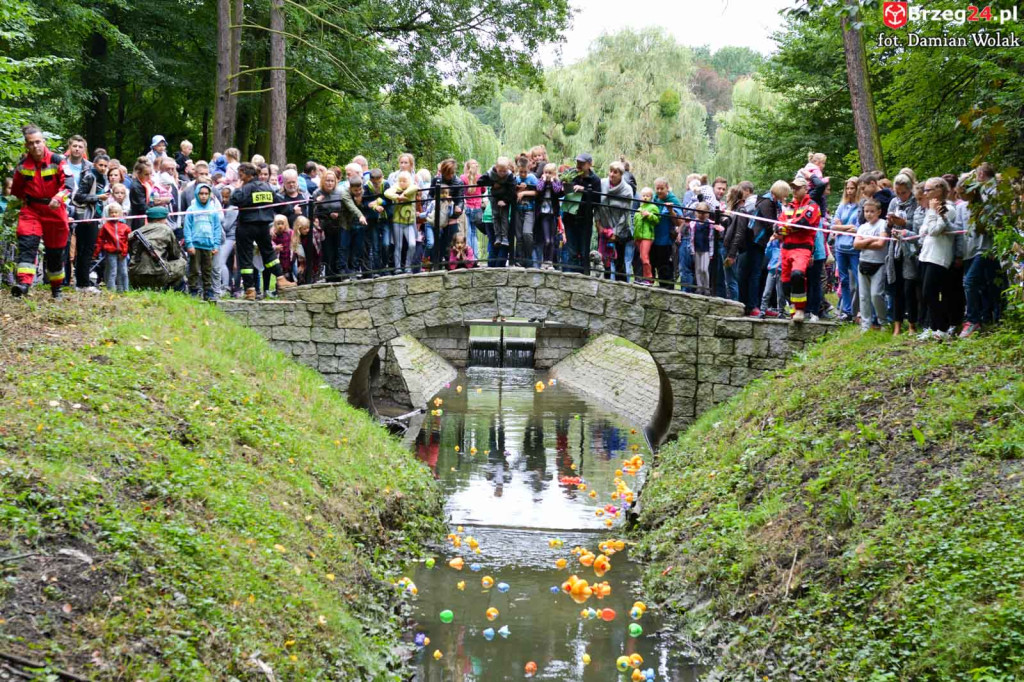 215 kaczek stanęło do wyścigu w Parku Wolności!