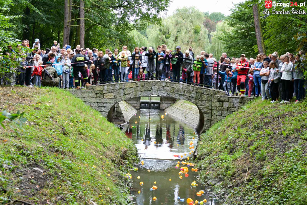 215 kaczek stanęło do wyścigu w Parku Wolności!