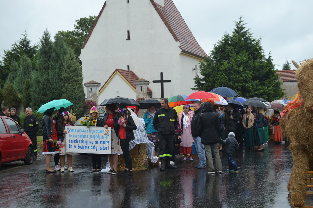 Święto plonów - dożynki gminne w Buszycach