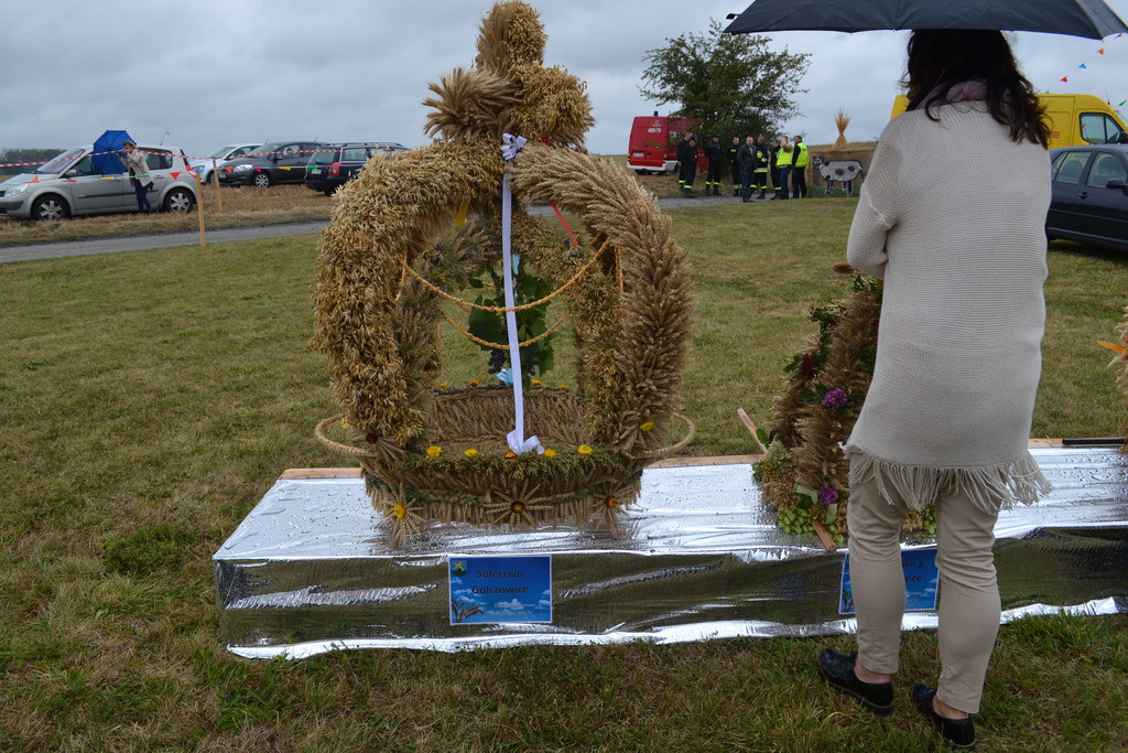 Święto plonów - dożynki gminne w Buszycach