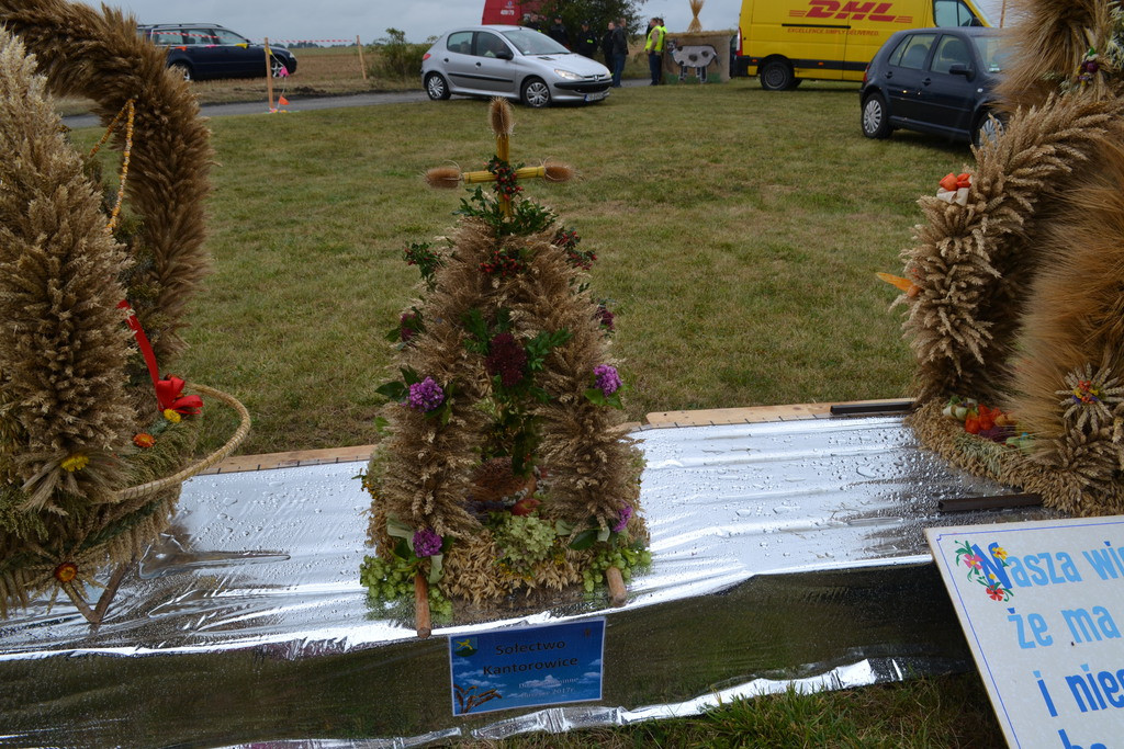 Święto plonów - dożynki gminne w Buszycach