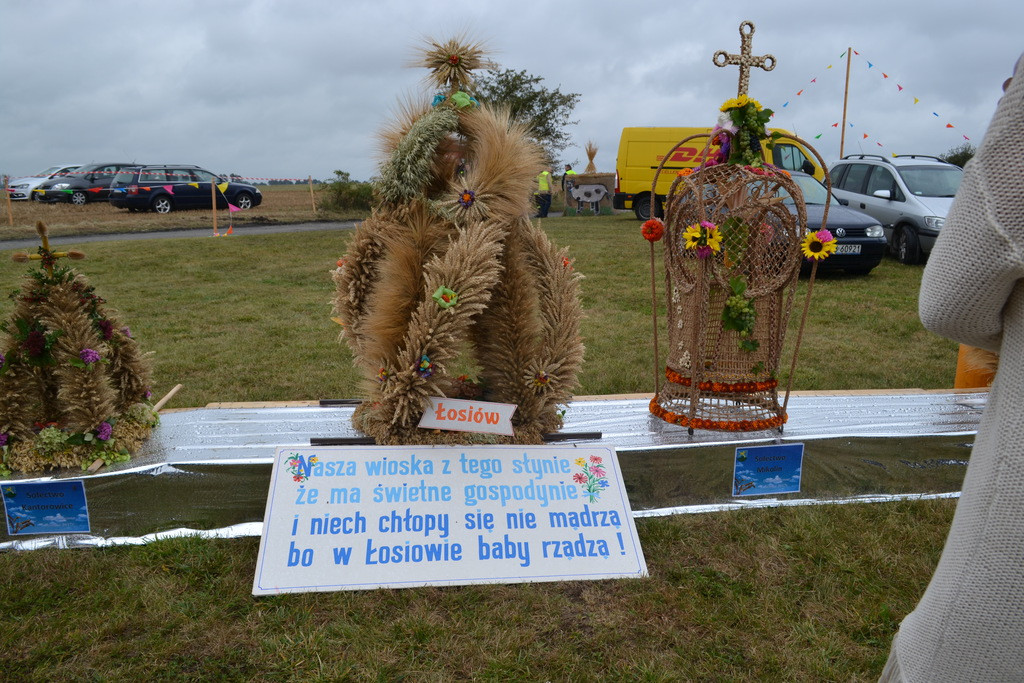 Święto plonów - dożynki gminne w Buszycach