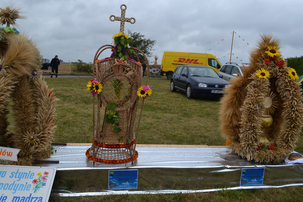 Święto plonów - dożynki gminne w Buszycach