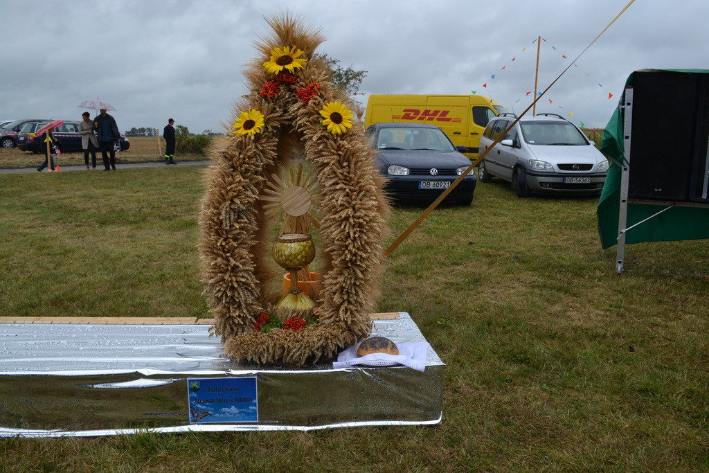 Święto plonów - dożynki gminne w Buszycach