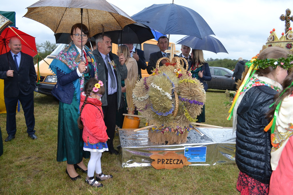 Święto plonów - dożynki gminne w Buszycach