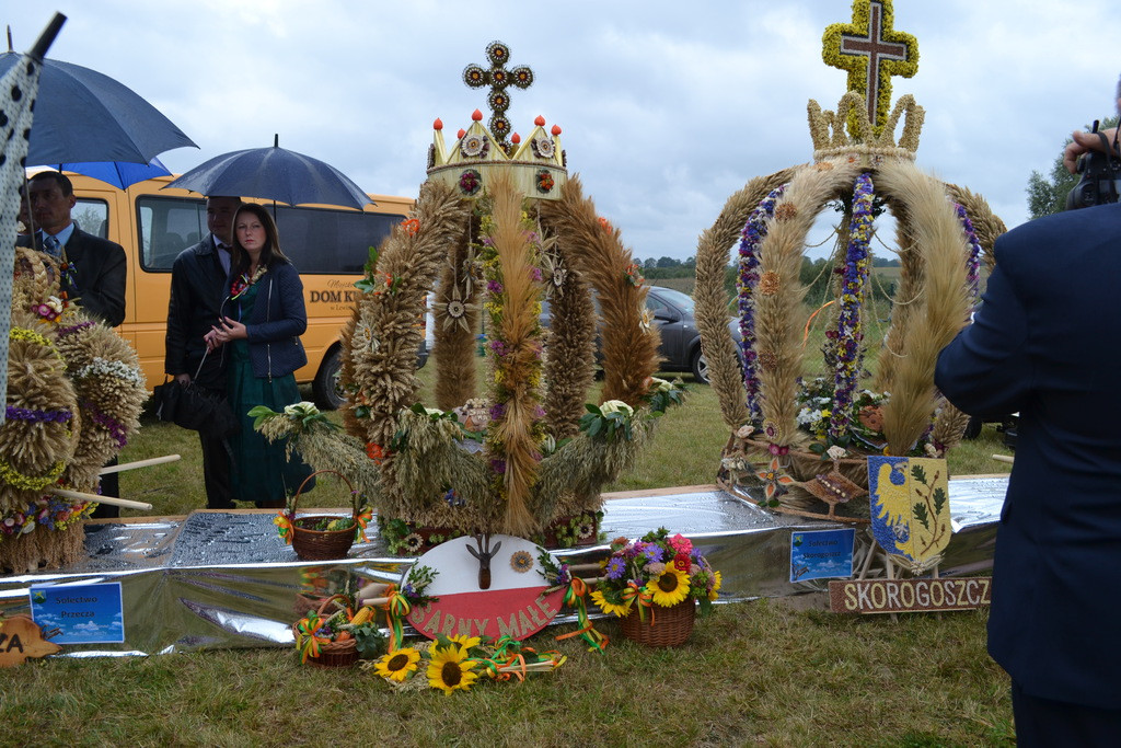Święto plonów - dożynki gminne w Buszycach