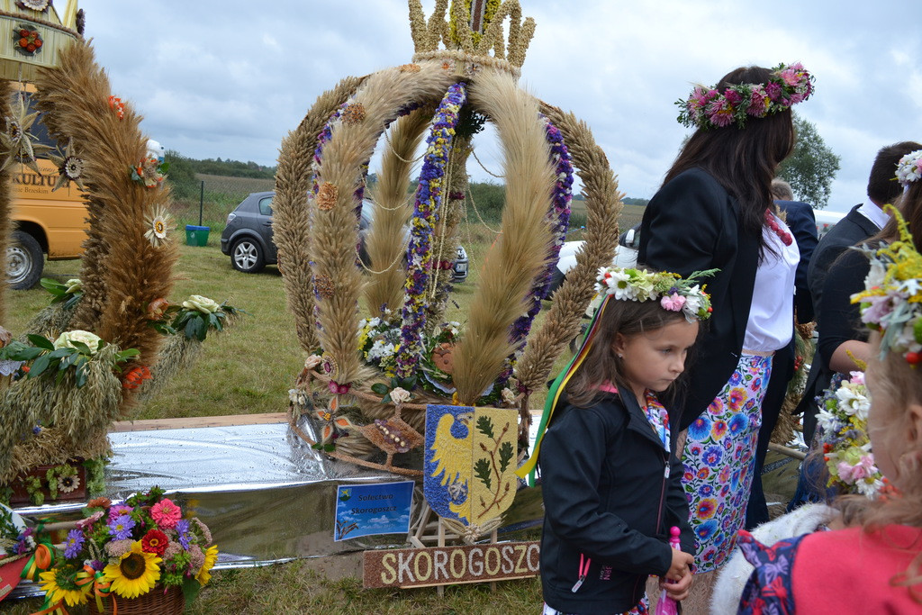 Święto plonów - dożynki gminne w Buszycach