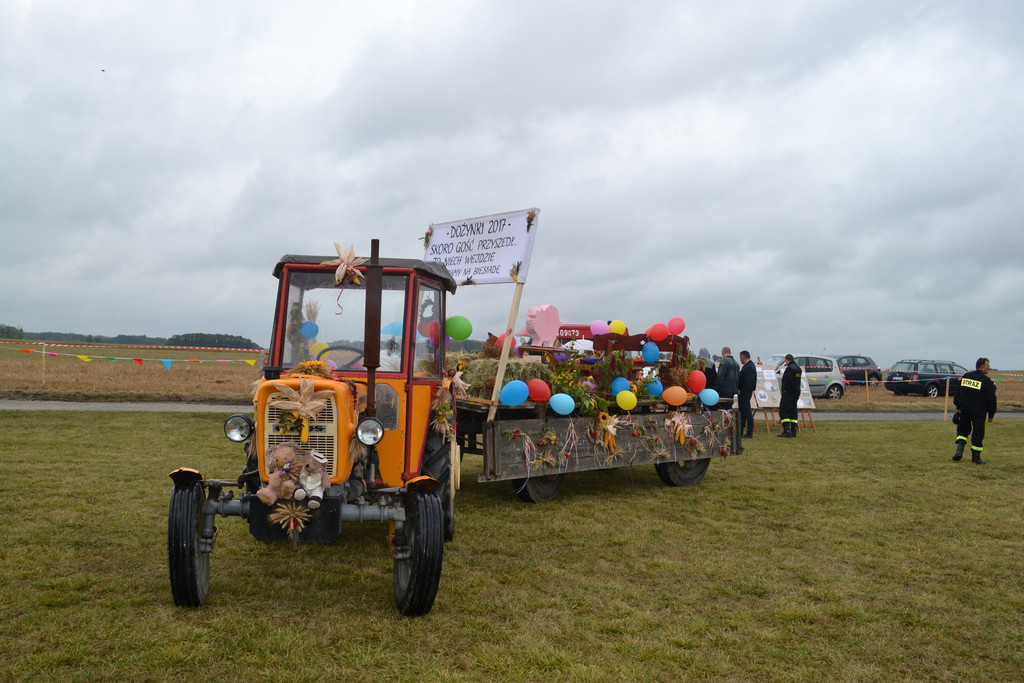 Święto plonów - dożynki gminne w Buszycach