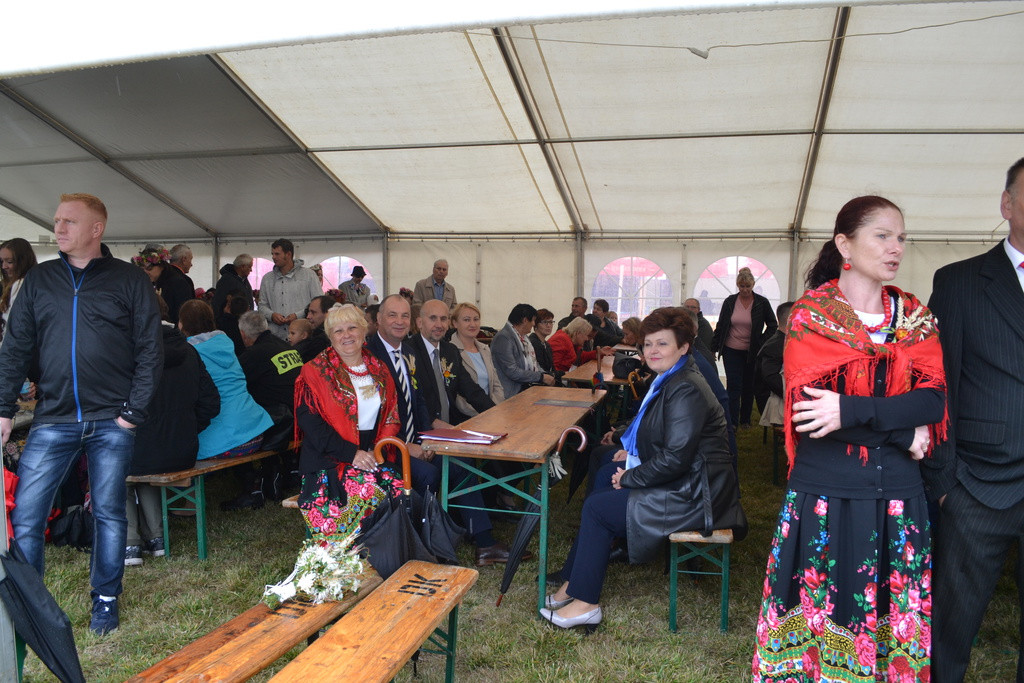 Święto plonów - dożynki gminne w Buszycach