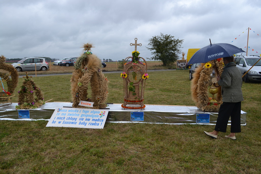 Święto plonów - dożynki gminne w Buszycach