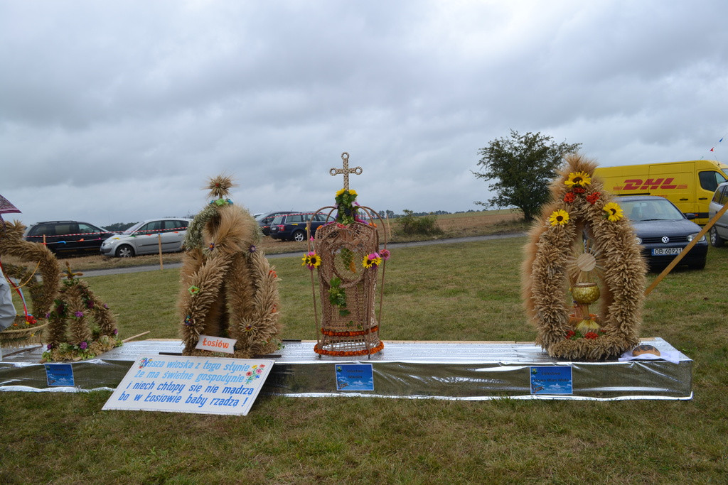 Święto plonów - dożynki gminne w Buszycach