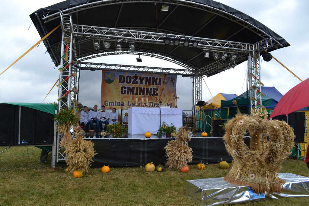Święto plonów - dożynki gminne w Buszycach