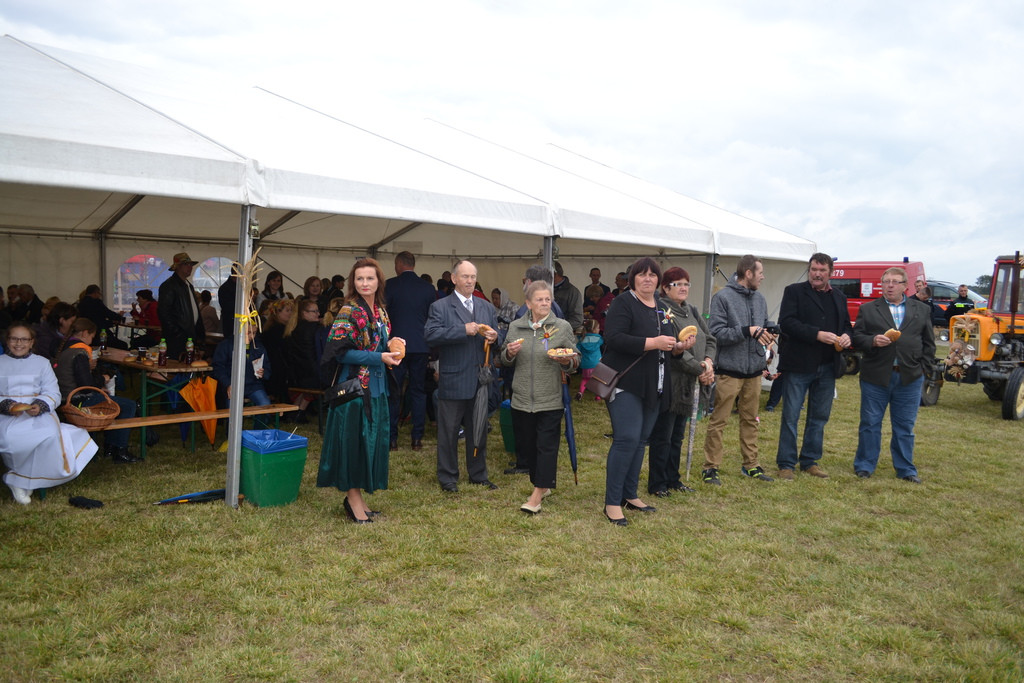 Święto plonów - dożynki gminne w Buszycach