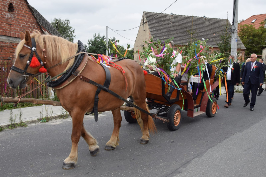 Gminno-Powiatowe Święto Plonów w Lubszy