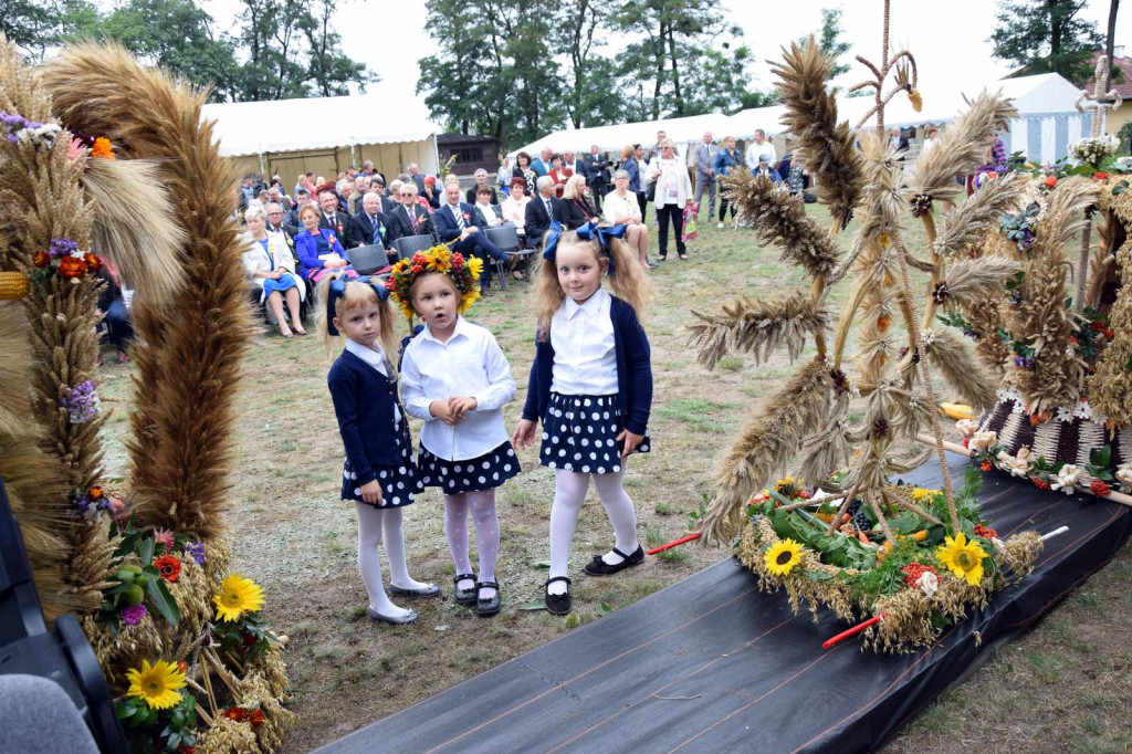 Gminno-Powiatowe Święto Plonów w Lubszy
