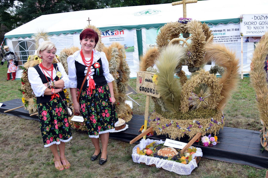 Gminno-Powiatowe Święto Plonów w Lubszy