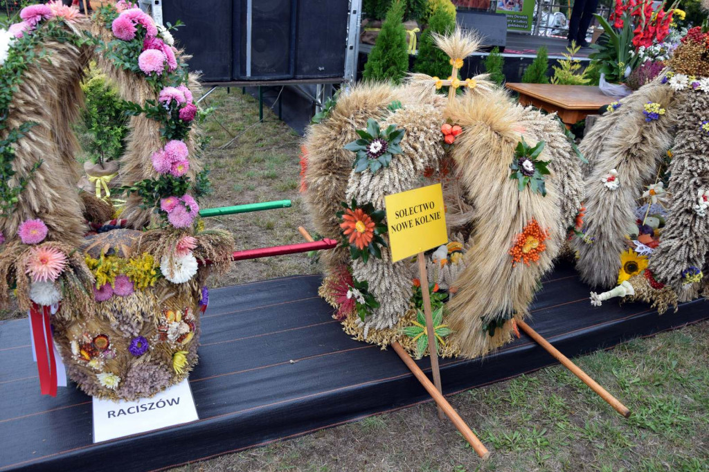 Gminno-Powiatowe Święto Plonów w Lubszy