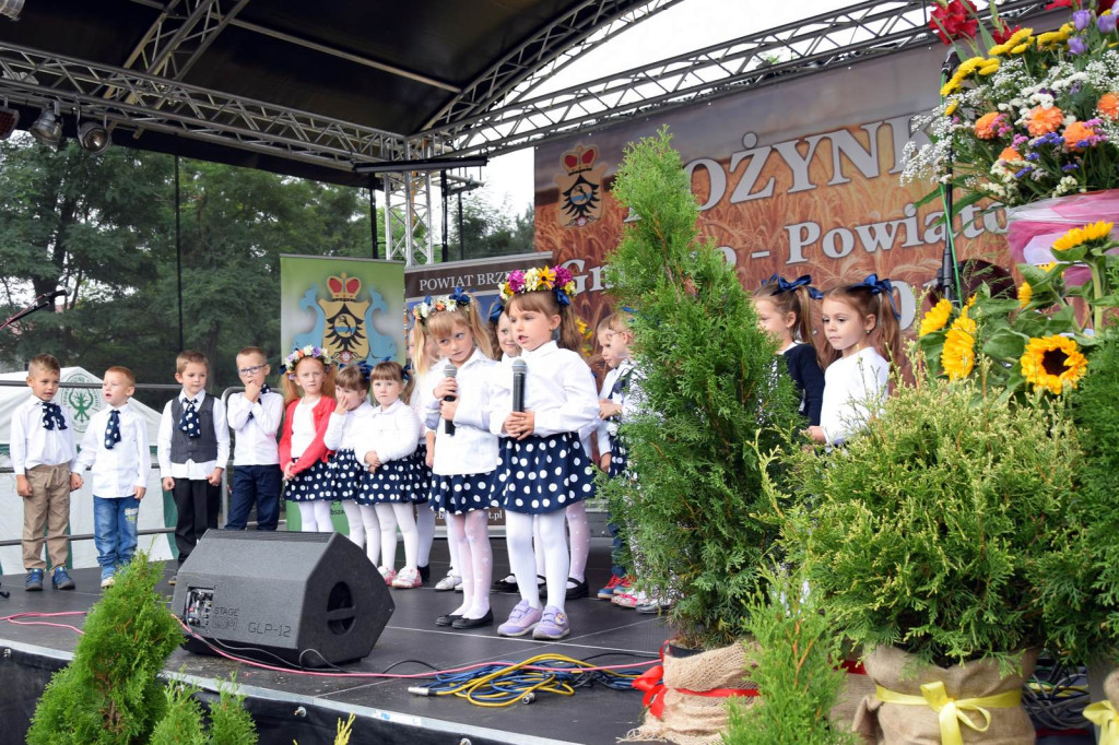 Gminno-Powiatowe Święto Plonów w Lubszy