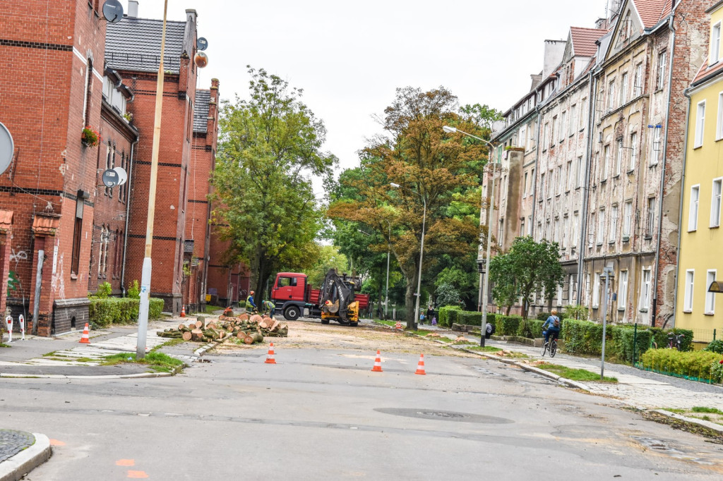 Ruszyła wycinka drzew na ulicy Wolności [zdjęcia]