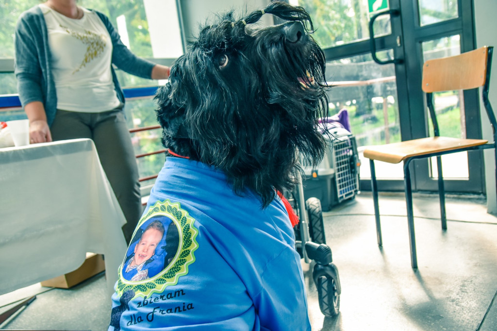 Turniejowa pomoc dla Frania  Zgody. Sobota dniem atrakcji, licytacji i występów artystycznych