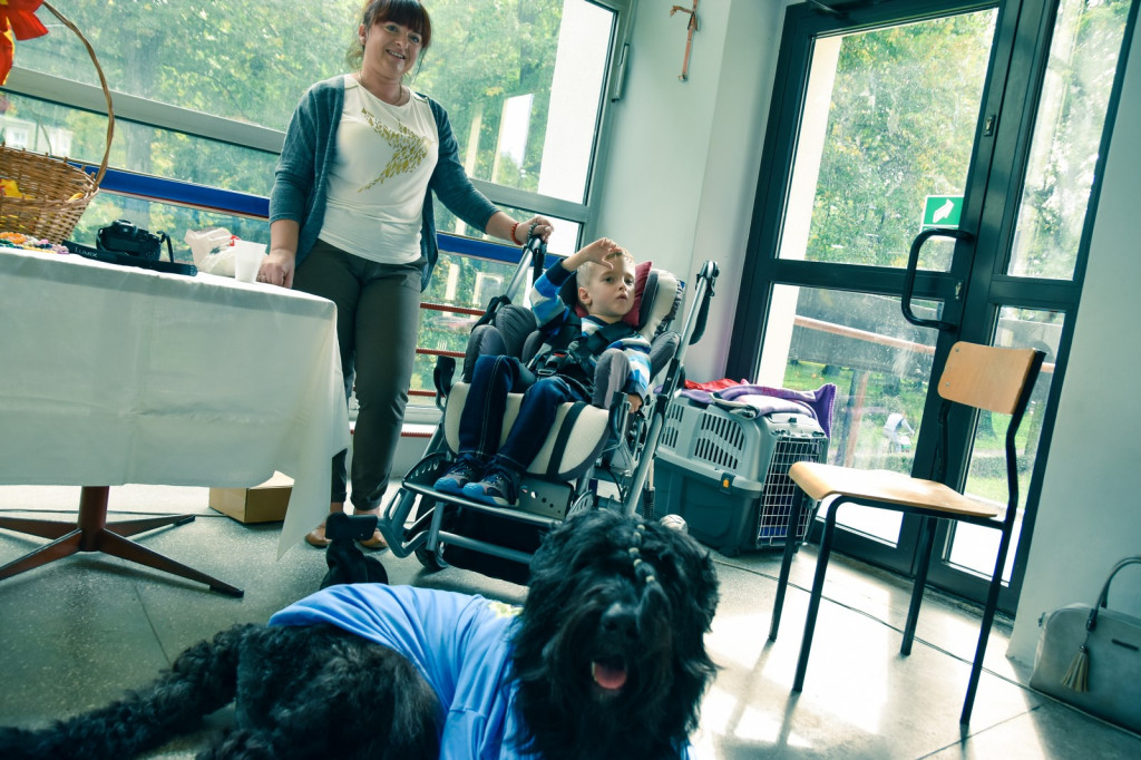 Turniejowa pomoc dla Frania  Zgody. Sobota dniem atrakcji, licytacji i występów artystycznych