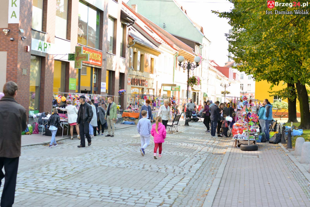 Inauguracja i poświęcenie organów w kościele św. Michała Archanioła w Grodkowie [fotorelacja]