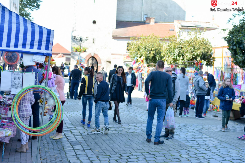 Inauguracja i poświęcenie organów w kościele św. Michała Archanioła w Grodkowie [fotorelacja]