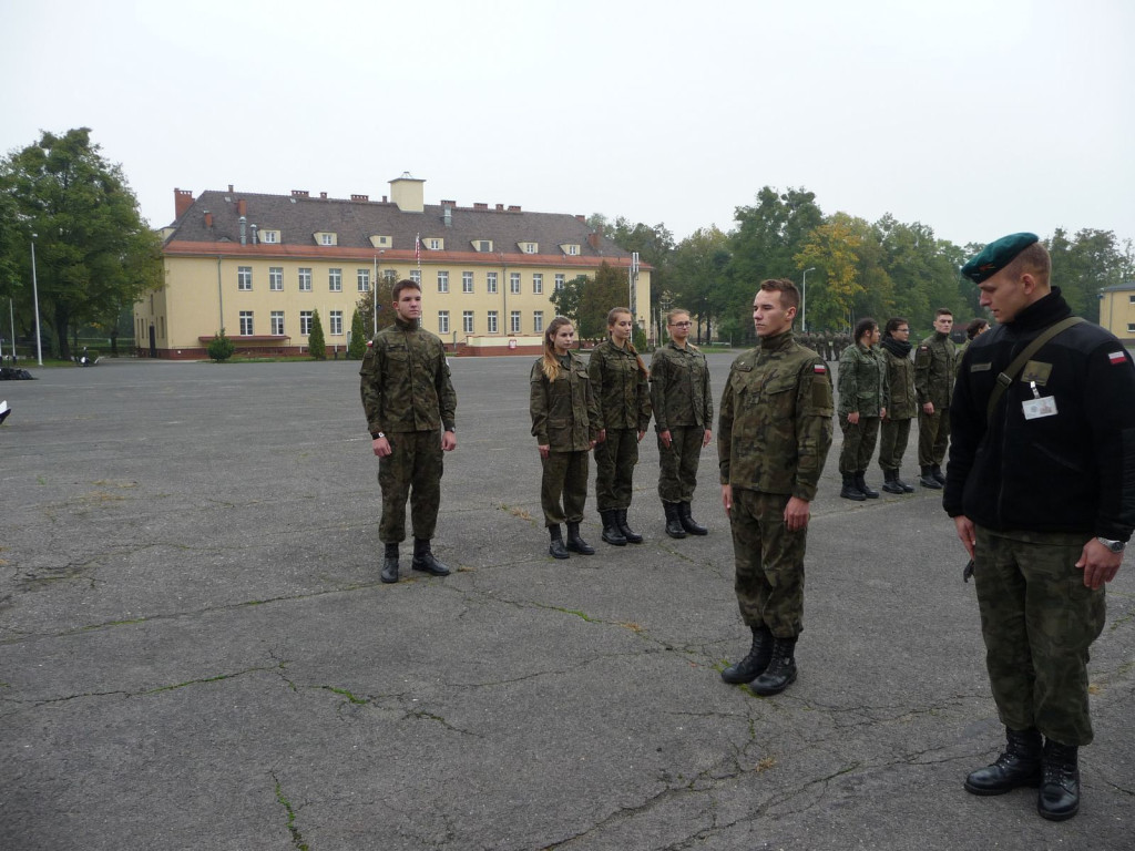 Zmodyfikowany model kształcenia