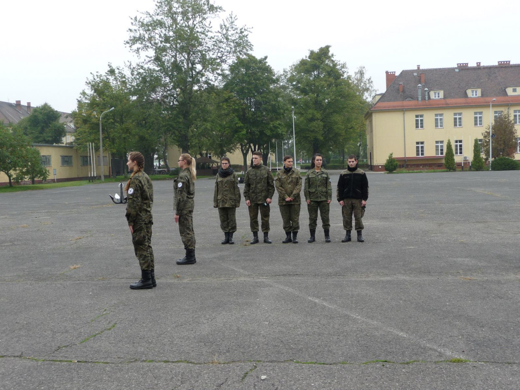 Zmodyfikowany model kształcenia