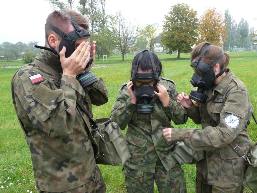 Zmodyfikowany model kształcenia