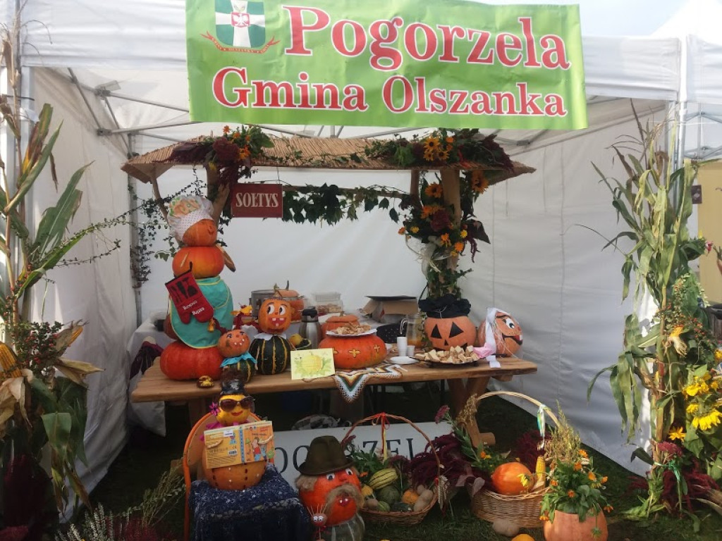 Za nami XVII Europejskie Targi Chłopskie w Krzyżowicach