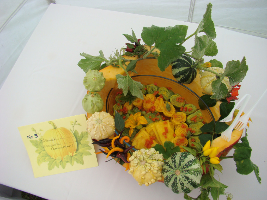 Za nami XVII Europejskie Targi Chłopskie w Krzyżowicach