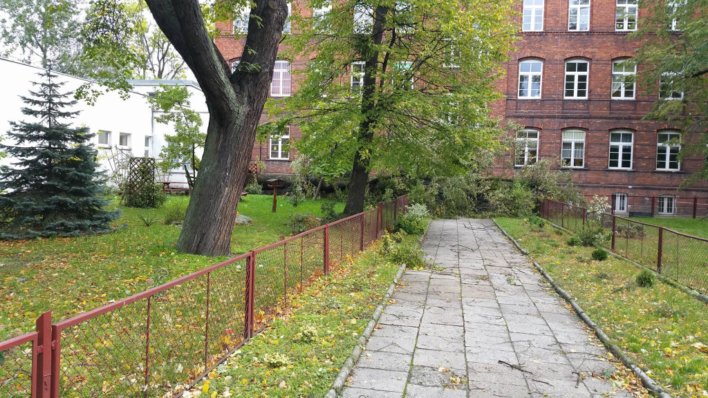 Połamane drzewa, zerwane dachy i brak prądu. Strażacy interweniowali w nocy 55 razy