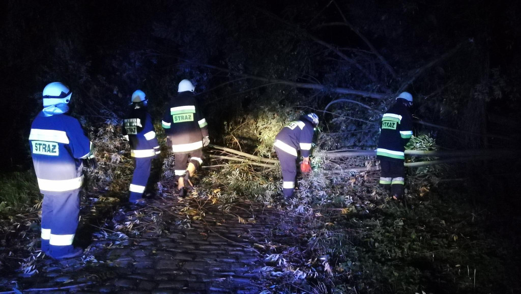 Połamane drzewa, zerwane dachy i brak prądu. Strażacy interweniowali w nocy 55 razy