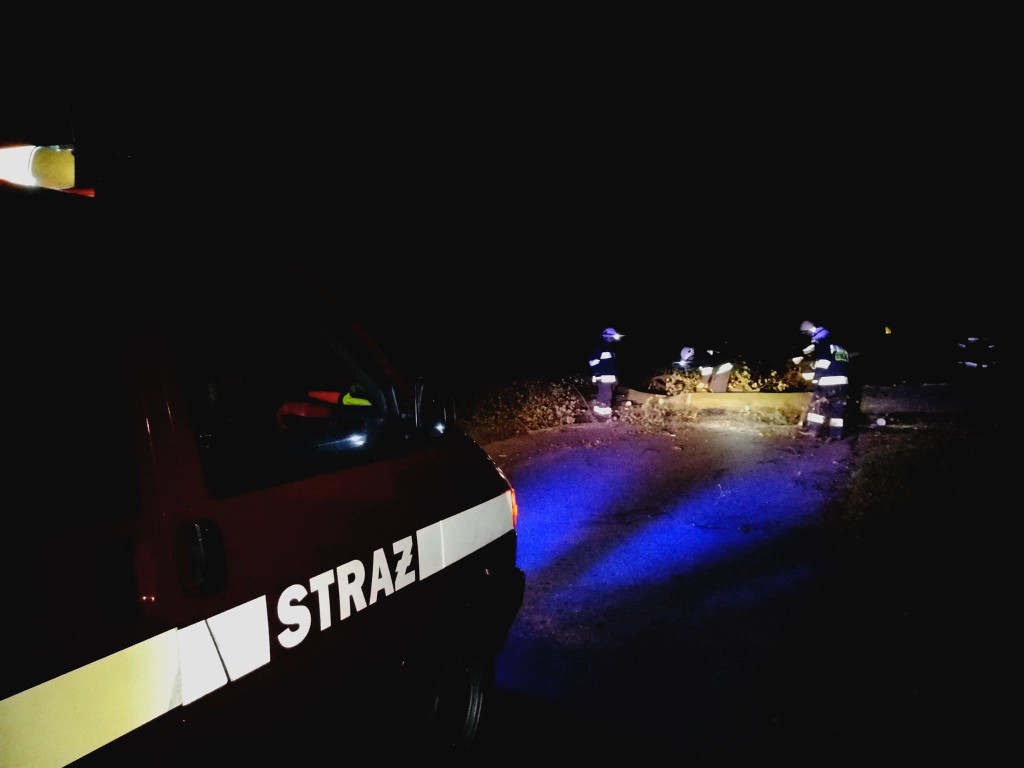 Połamane drzewa, zerwane dachy i brak prądu. Strażacy interweniowali w nocy 55 razy