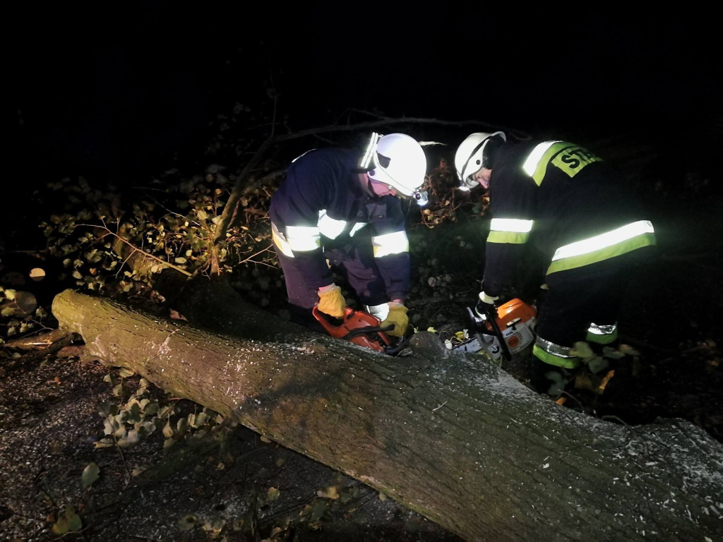 Połamane drzewa, zerwane dachy i brak prądu. Strażacy interweniowali w nocy 55 razy