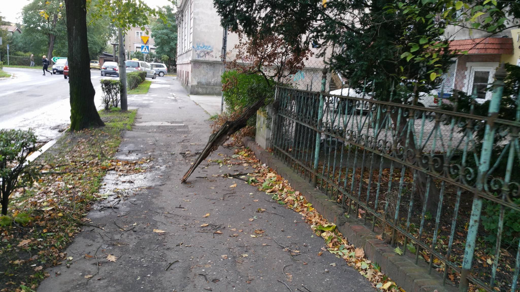 Połamane drzewa, zerwane dachy i brak prądu. Strażacy interweniowali w nocy 55 razy