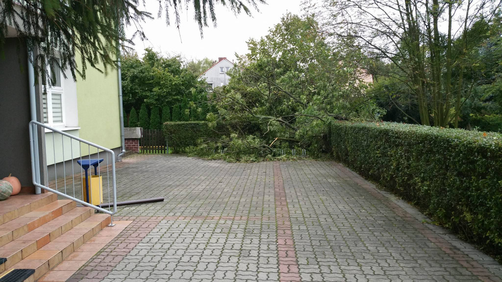 Połamane drzewa, zerwane dachy i brak prądu. Strażacy interweniowali w nocy 55 razy