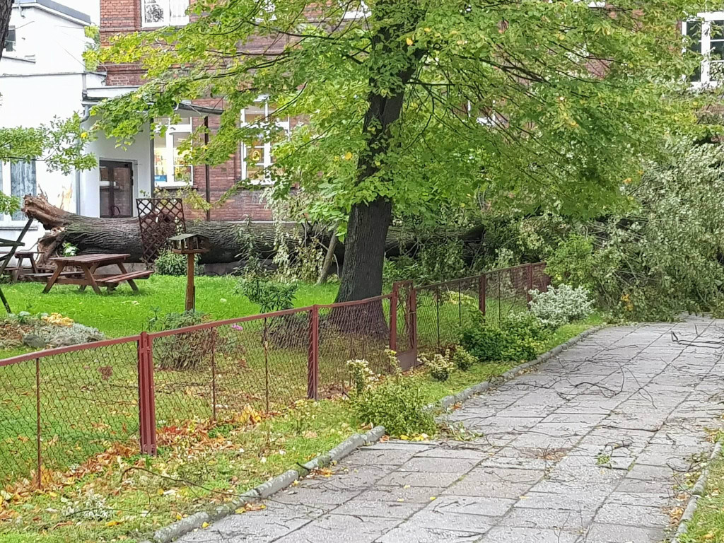Połamane drzewa, zerwane dachy i brak prądu. Strażacy interweniowali w nocy 55 razy