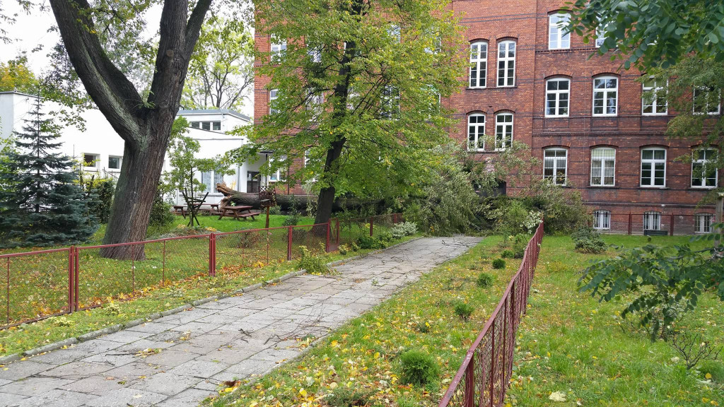 Połamane drzewa, zerwane dachy i brak prądu. Strażacy interweniowali w nocy 55 razy