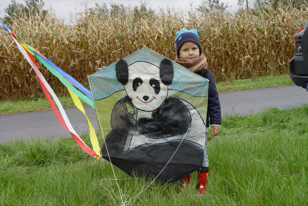 Mistrzostwa woj. Opolskiego - Święto Latawca