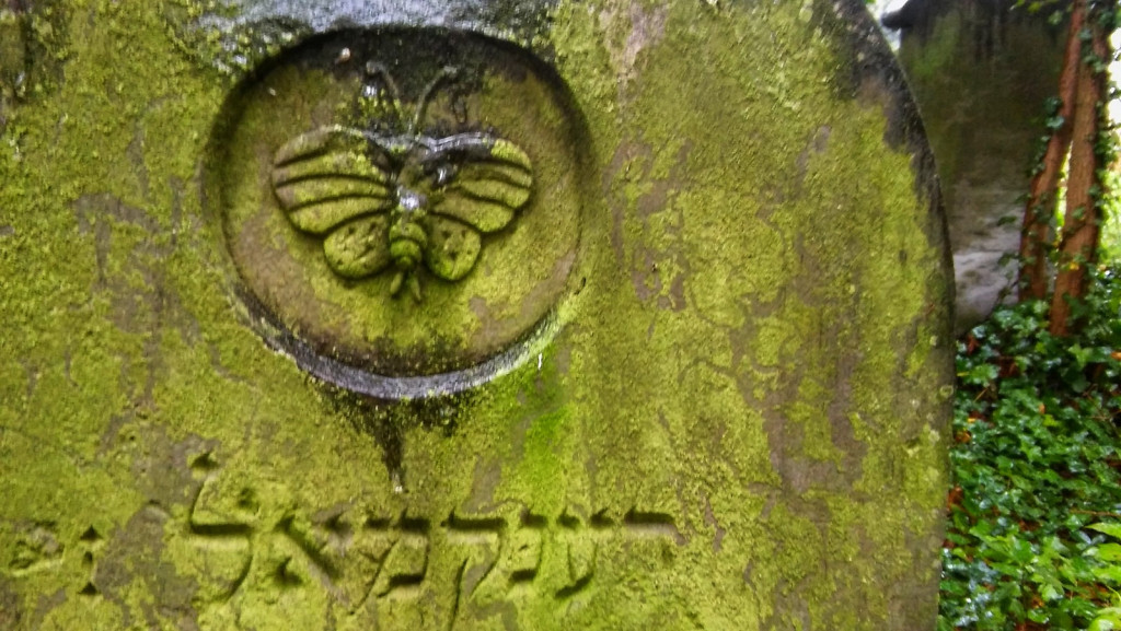 Uczniowie I LO w Brzegu pamiętają i dbają o historię