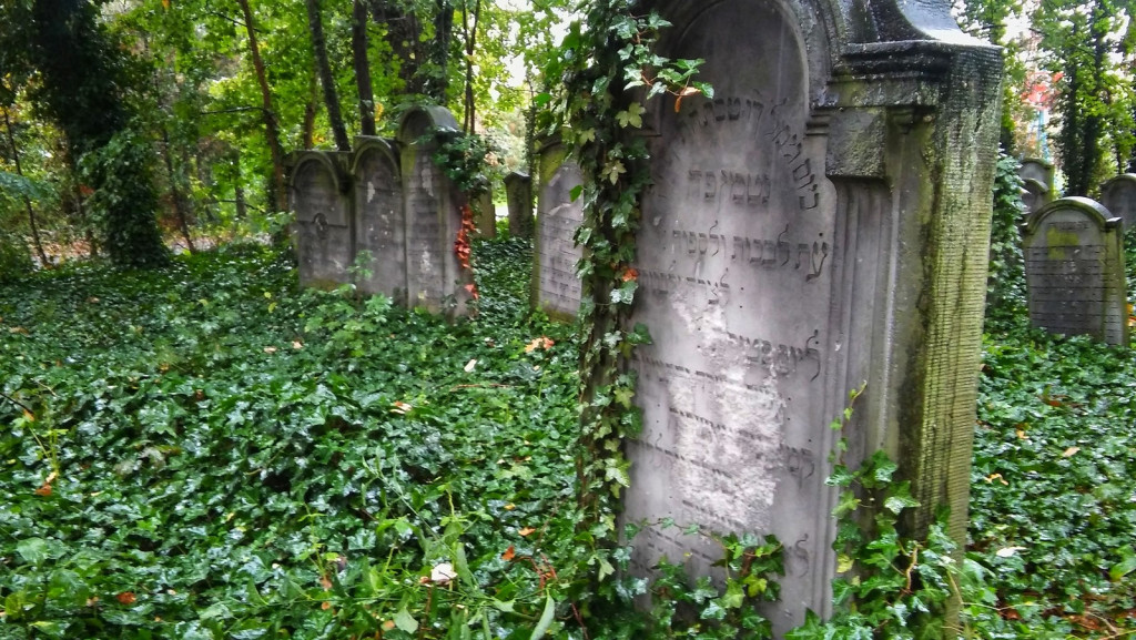 Uczniowie I LO w Brzegu pamiętają i dbają o historię