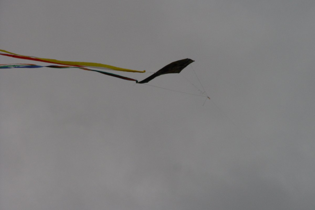 Mistrzostwa woj. Opolskiego - Święto Latawca