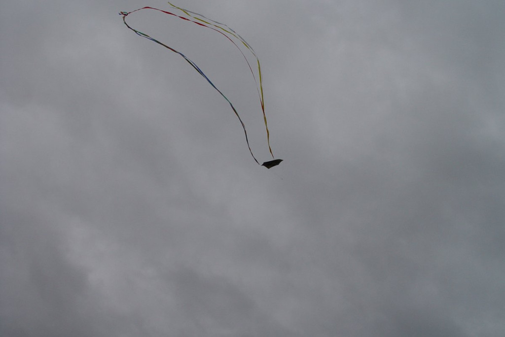 Mistrzostwa woj. Opolskiego - Święto Latawca