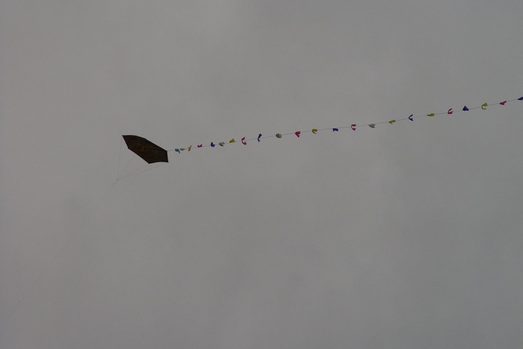 Mistrzostwa woj. Opolskiego - Święto Latawca