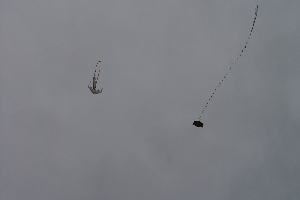 Mistrzostwa woj. Opolskiego - Święto Latawca