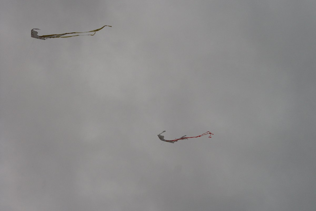 Mistrzostwa woj. Opolskiego - Święto Latawca